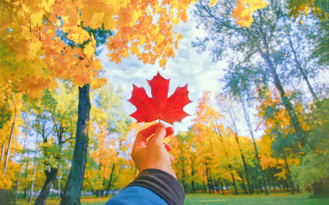 Toronto’s e-Zinc only Canadian company selected to inaugural Shell Gamechanger